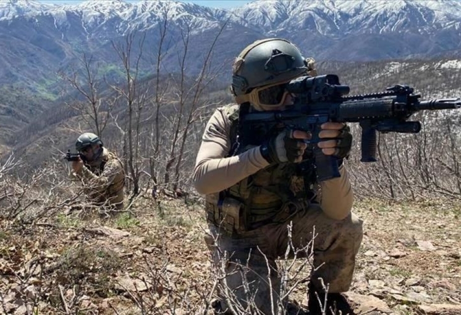Türkiyə ordusu iki terrorçunu zərərsizləşdirib