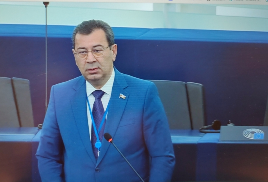 Səməd Seyidov: AŞPA-nın məruzəsi regionda sülhə əks-təsir göstərəcək VİDEO