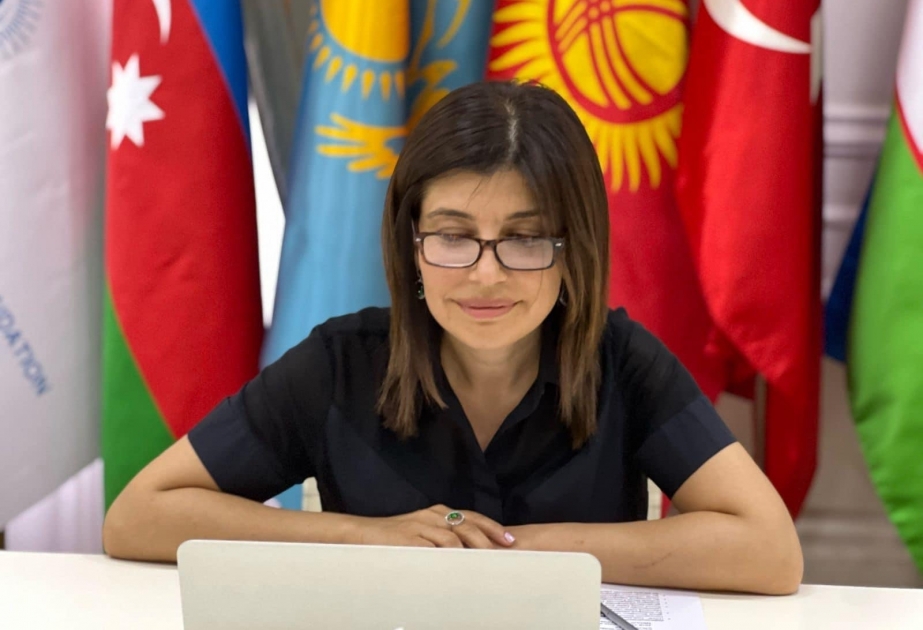 Состоялась дискуссионная встреча по подготовке Конвенции о культурном наследии тюркского мира