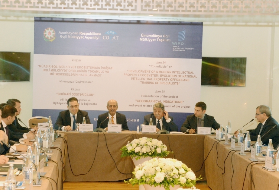 Развитие современной экосистемы интеллектуальной собственности: эволюция национальных офисов интеллектуальной собственности и подготовка специалистов – круглый стол ОБНОВЛЕНО
