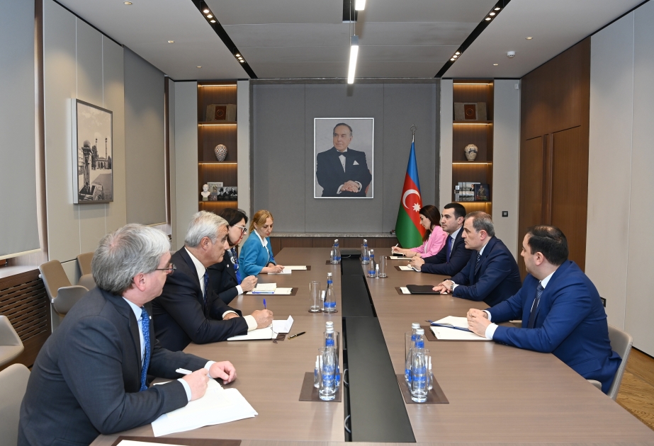 FM Bayramov meets with head of ICRC Delegation in Azerbaijan