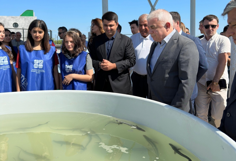 Kür çayına növbəti dəfə balıq körpələri buraxılıb