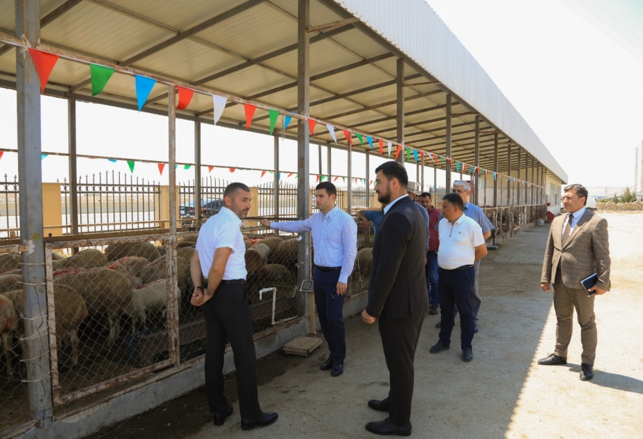 KOBİA-nın nümayəndələri ət kəsimi məntəqəsində fermerlər üçün yaradılmış şəraitlə tanış olublar