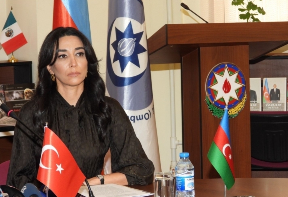 Sabina Aliyeva: We strongly condemn heinous attack on Azerbaijani journalists in France