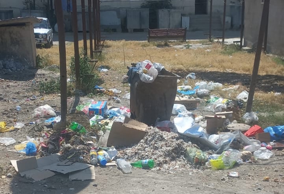 Sabirabadda sanitariya-gigiyena qaydalarının təmin olunması üzrə tədbirlər davam etdirilir