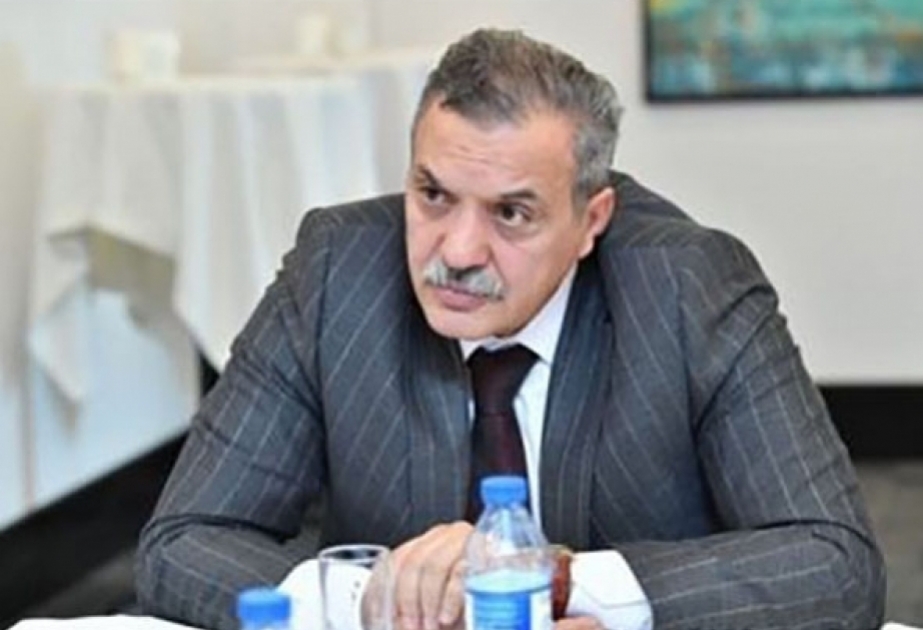 Fransanın Azərbaycan jurnalistlərinə adekvat olmayan reaksiyası onun beynəlxalq normalara hörmətsizliyinin təzahürüdür - Rəy