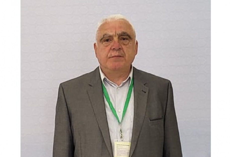 Fransada Azərbaycan jurnalistlərinə hücum konkret olaraq cinayət əməlidir –  gürcü jurnalist