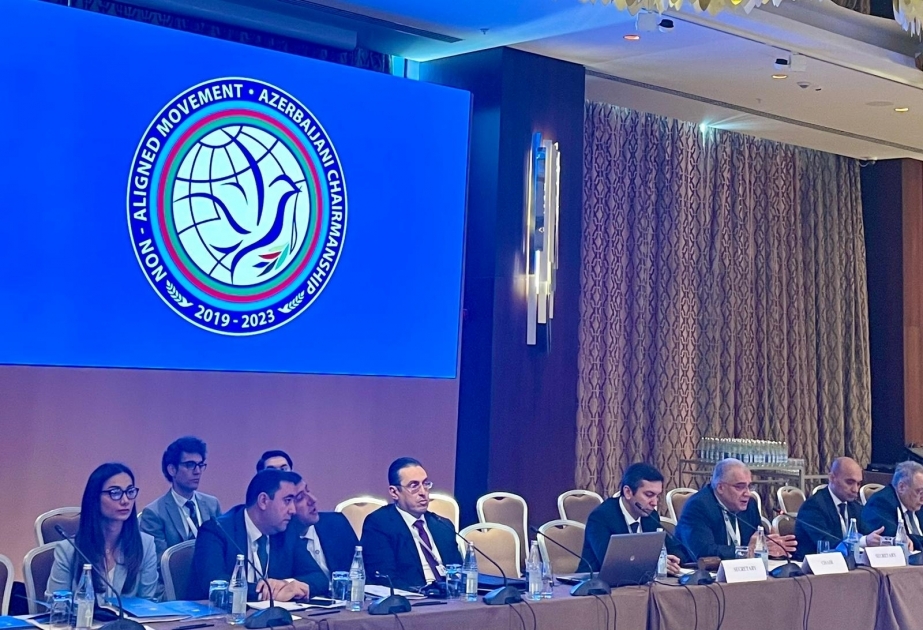 بحث مسائل تمهيدية لاجتماع وزراء مكتب التنسيق لحركة عدم الانحياز
