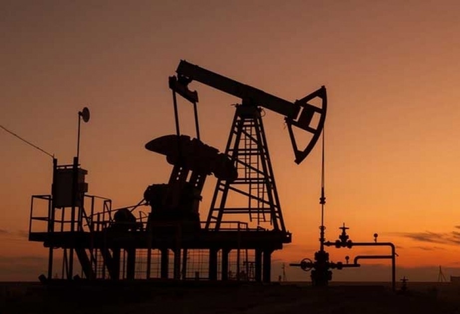 نوفاك: روسيا تخفض طوعا صادرات النفط بمقدار 500 ألف برميل يوميا في أغسطس