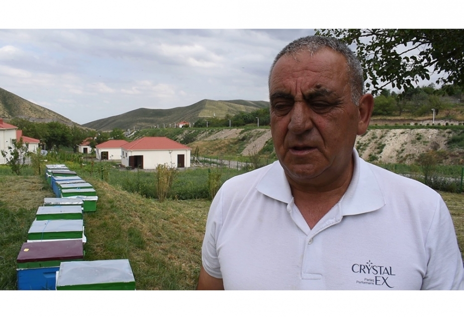 Əyyub Əkbərov: Talış kəndinin təbiəti arıçılığın inkişafı üçün əlverişlidir