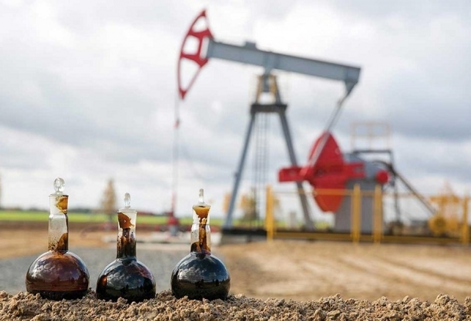 OPEC: 2045-ci ilə qədər neftə tələbat gündəlik 110 milyon barelə çatacaq