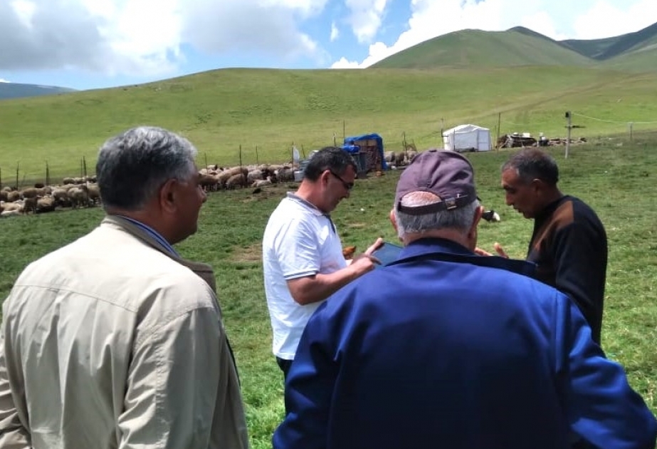 İşğaldan azad olunmuş ərazilərdə epizootoloji monitorinqlər davam etdirilir