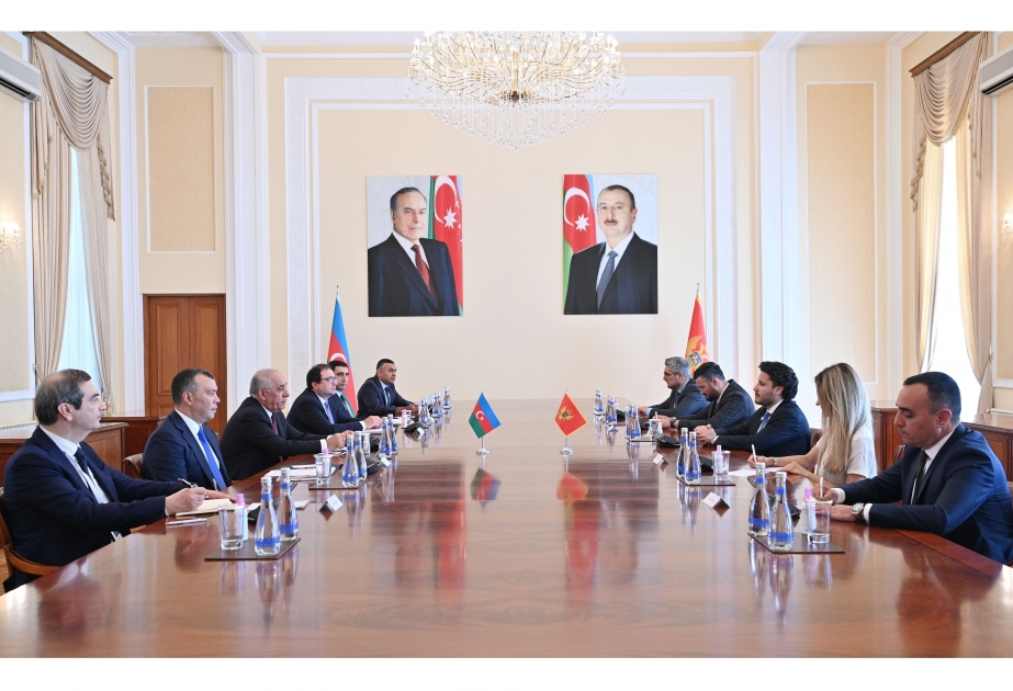 Azerbaijani PM meets with Montenegrin counterpart