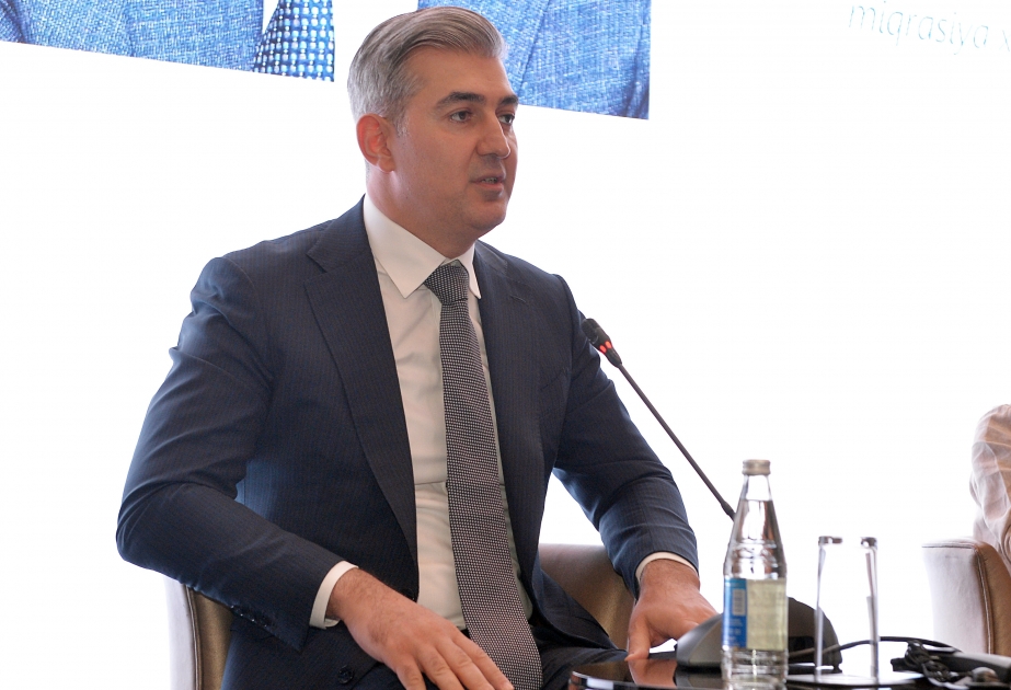 Vüsal Hüseynov: Yeni vətəndaşsızlıq vəziyyətinin aşkarlanması halları azalıb