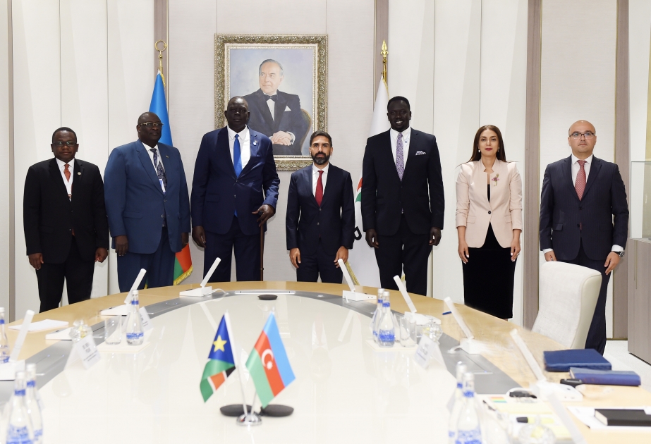 Azərbaycanla Sudan arasında enerji sektorunda əməkdaşlıq imkanları nəzərdən keçirilib