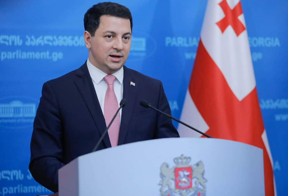 Arçil Talakvadze: Regionun təhlükəsizliyində Azərbaycanın və Gürcüstanın müstəsna rolu var
