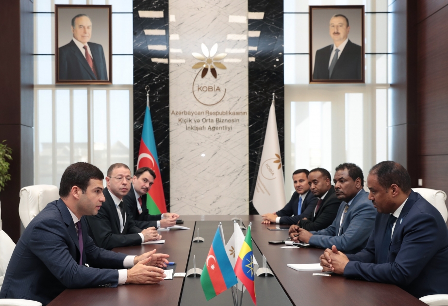 بحث توسيع العلاقات بين الأعمال الصغيرة والمتوسطة بين أذربيجان وأثيوبيا