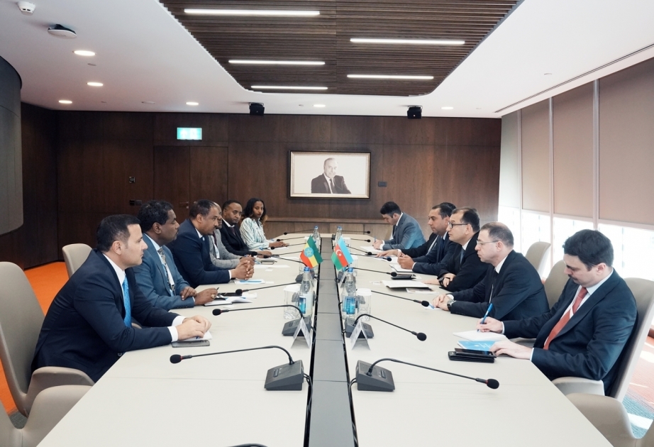 Azerbaijan, Ethiopia discuss development of economic cooperation