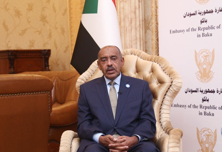 الوزير علي الصادق: شعب السودان يكن احتراما خاصا لأذربيجان
