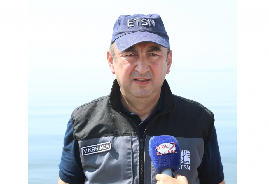 Vüqar Kərimov: Təəssüf ki, çimərliklərdə şüşə qırıqları, şpris kimi təhlükəli tullantılara da rast gəlinir