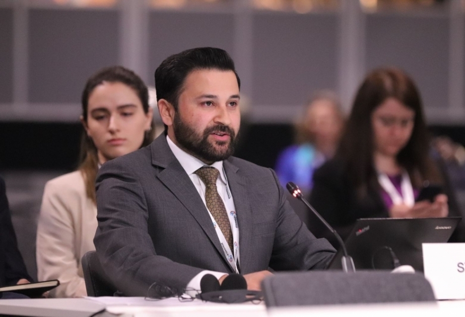 Qayser Nəvvab: Azərbaycan ilə Pakistan arasında turizm əlaqələri genişlənir