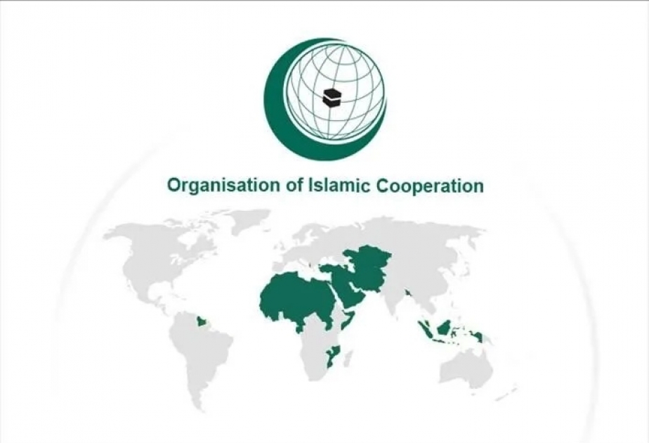İƏT-in Nyu-York Qrupu “Qurani-Kərim”in nüsxəsinin yandırılmasını pisləyib