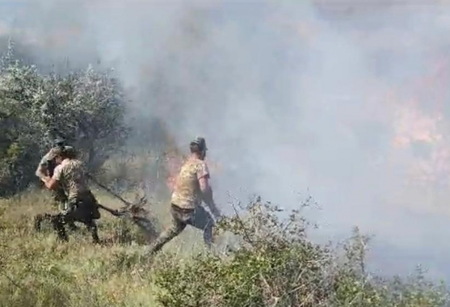 الطوارئ: نشوب حريق في منطقة جبلية غابية ذات التضاريس المعقدة في محافظة خيزي