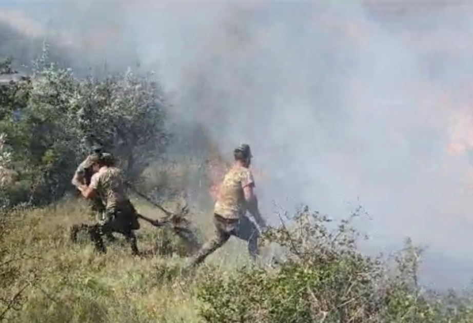 FHN: Xızıda mürəkkəb relyefli ərazidə baş vermiş yanğın tam söndürülüb