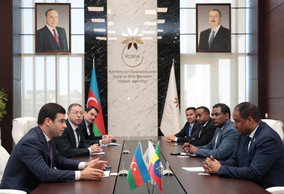 L’Azerbaïdjan et l’Ethiopie discutent de l’expansion des relations entre les PME
