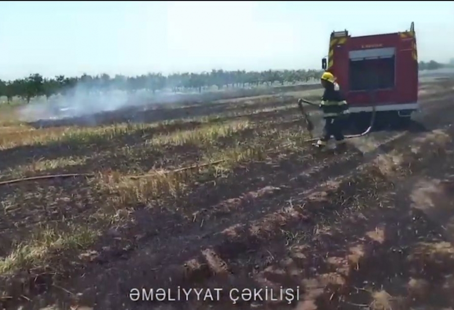 Tərtərdə 1,5 hektar biçilmiş taxıl sahəsi yanıb