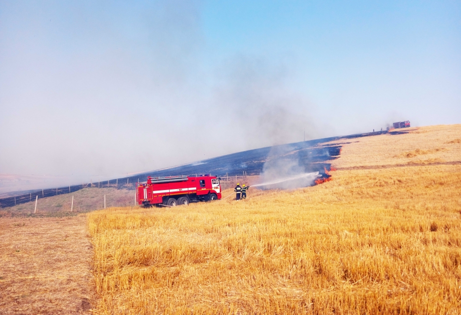Cəlilabad rayonunda biçilmiş taxıl sahəsində yanğın baş verib