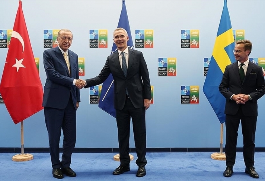 Turkish President Erdogan meets NATO chief, Swedish premier in Vilnius
