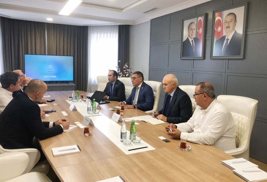 İspaniya şirkəti ilə enerji sahəsi üzrə əməkdaşlığın qurulması imkanları müzakirə edilib