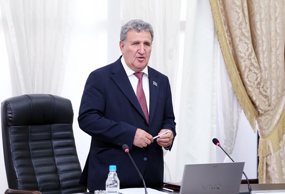 İsa Həbibbəyli: “Heydər Əliyev İli” çərçivəsində AMEA-da 30 kitab çap olunub