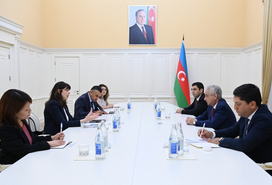 Viceprimer ministro se reunió con la coordinadora residente de la ONU en Azerbaiyán