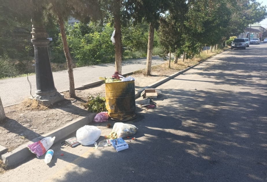 Hacıqabulda ətraf mühiti zibilləyən 5 nəfər məsuliyyətə cəlb edilib