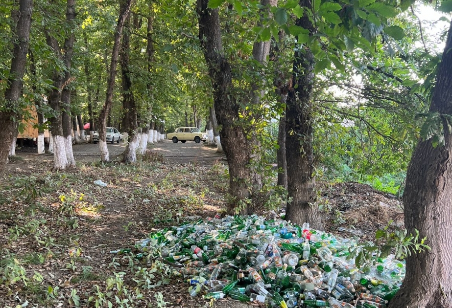 Masallıda ətraf mühiti məişət tullantıları ilə zibilləyən şəxslər barəsində tədbirlər görülüb