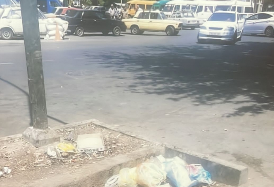 Ağdaşda məişət tullantılarını urnalardan kənara atan şəxslər barəsində protokol tərtib olunub