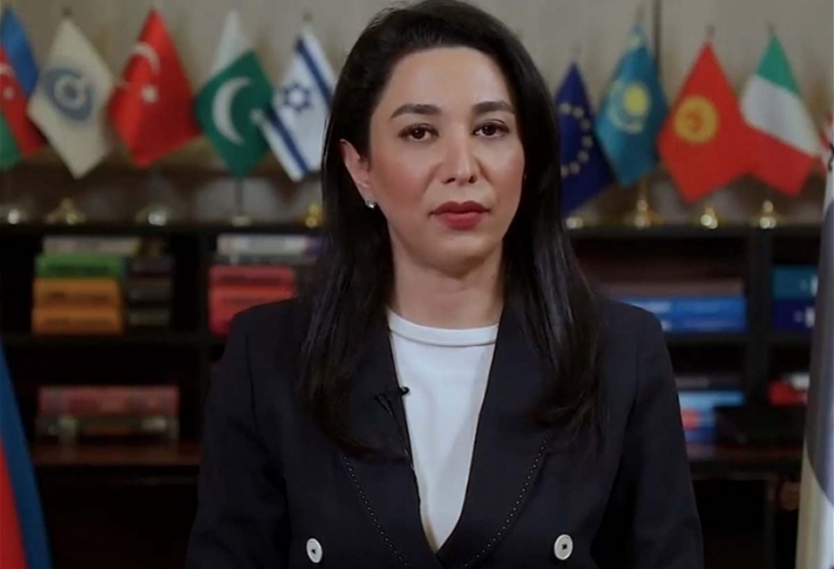 Ombudsman: Ermənistan ətraf mühitlə bağlı tərəfdar çıxdığı beynəlxalq konvensiyalara əməl etmir