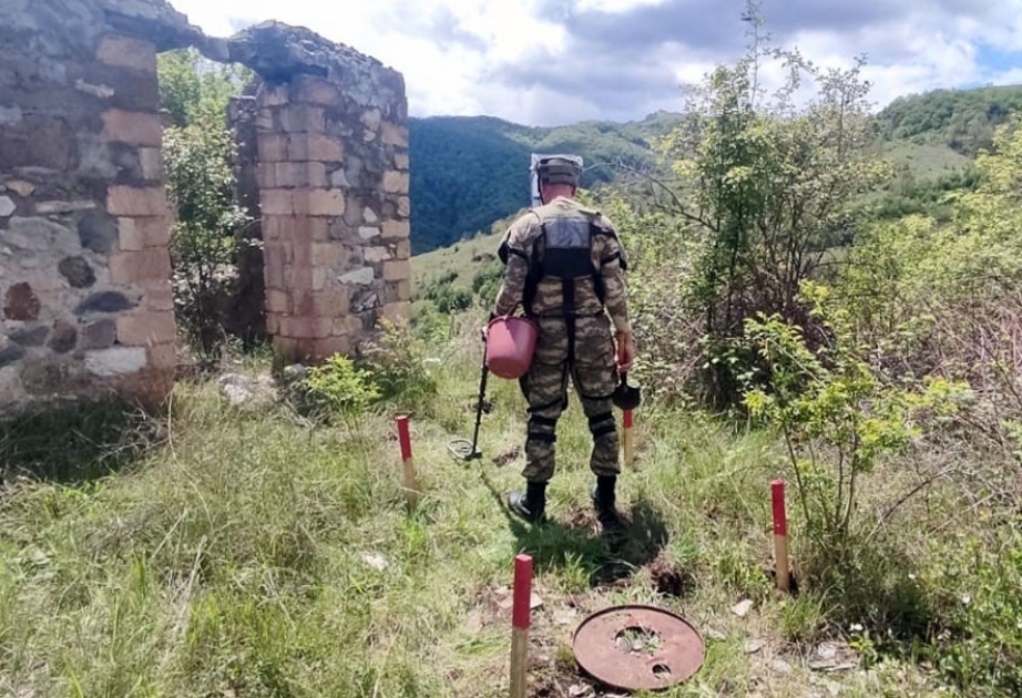 Defense Ministry: Up to 610 hectares of land were completely cleared of mines during July of the current year