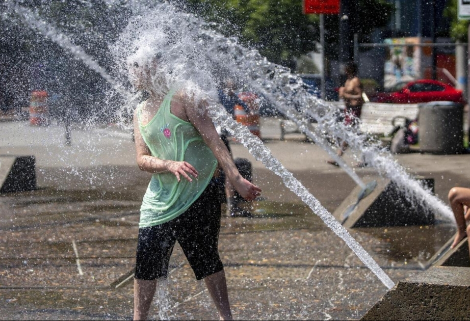 Qərbi Balkan ölkələrində havanın temperaturu rekord həddə çatıb