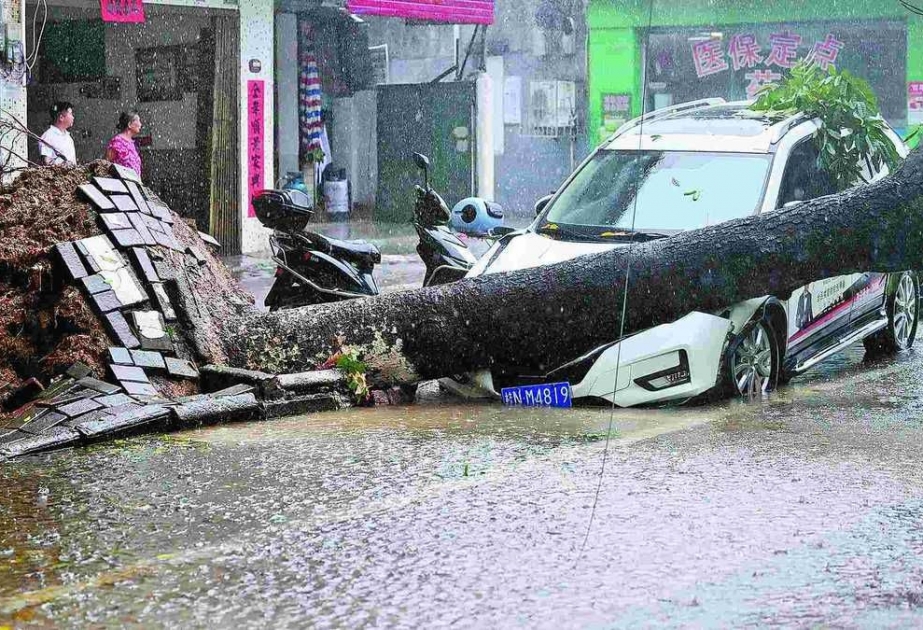 Çində “Talim” qasırğasına görə 230 min nəfər təxliyə edilib