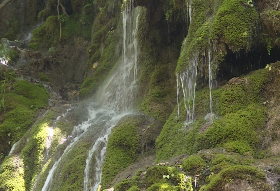 Rənglərin dəyişdiyi, ruhun yeniləndiyi məkan  FOTO