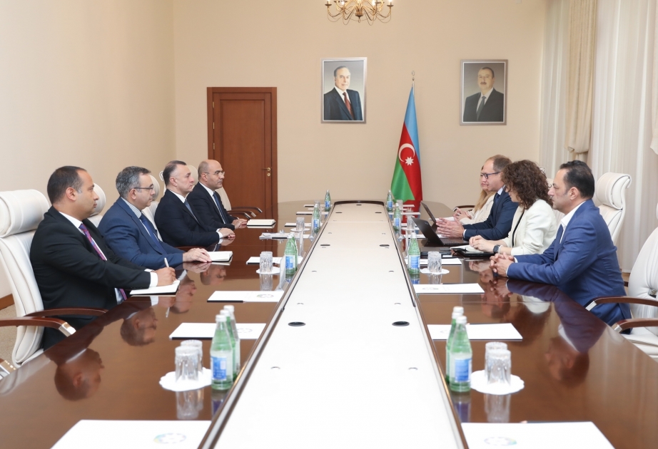 讨论阿塞拜疆卫生部与辉瑞公司合作的问题