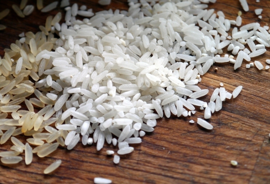 L'Inde interdit les exportations d'une variété de riz blanc pour répondre à la demande domestique