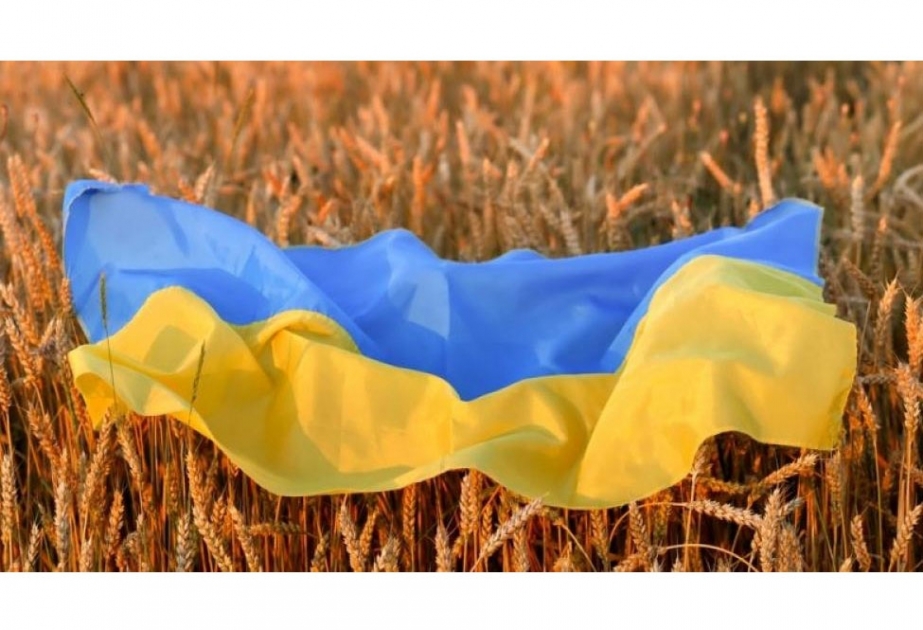 Antoni Blinken: Qərb Ukrayna taxılının digər marşrutlar üzrə ixrac variantlarını araşdırır