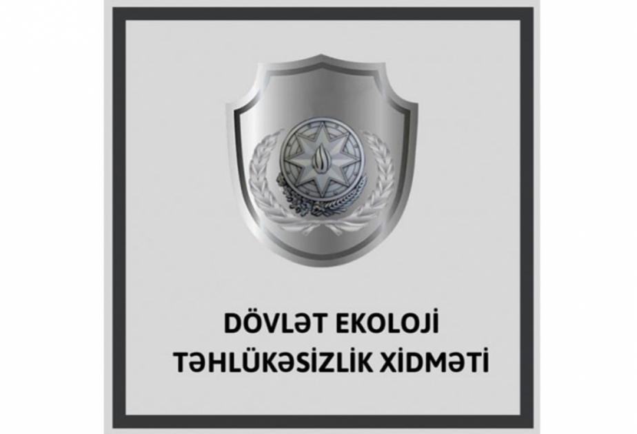 Lənkəran və İsmayıllıda ağacları qanunsuz kəsənlərlə əlaqədar tədbir görülüb
