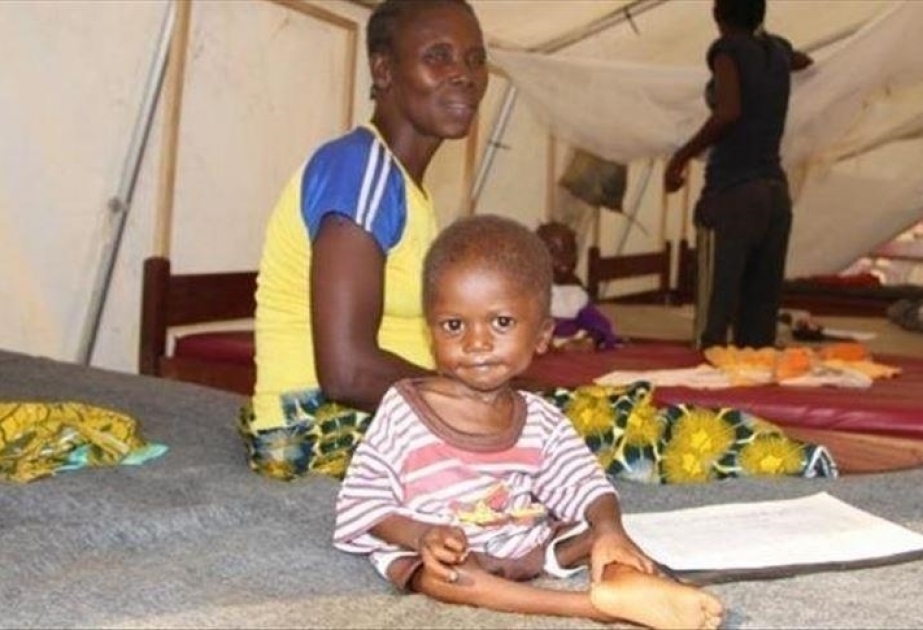 Le Niger lance une campagne de prévention contre le paludisme