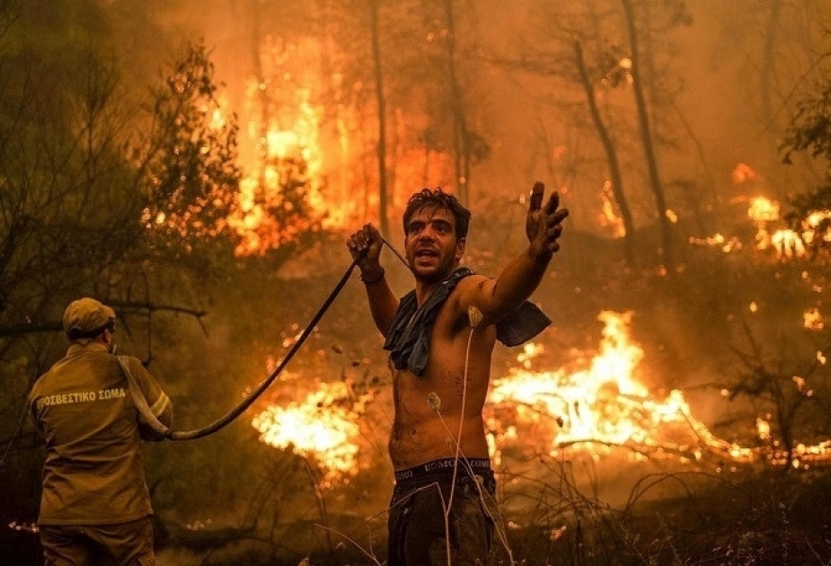 Algérie : Le bilan des feux de forêts s'alourdit