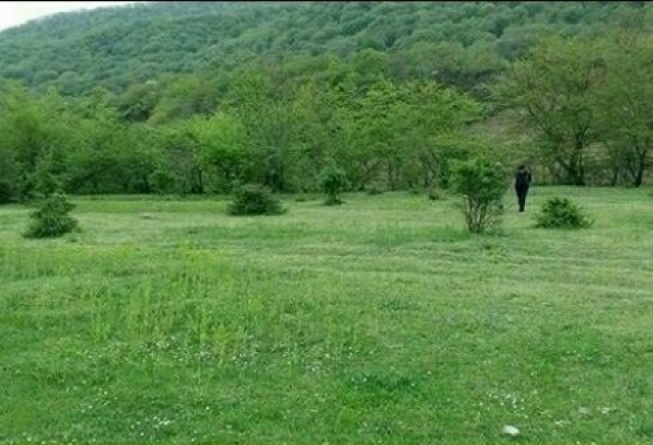 Torpaq sahələrinin ən çox girov qoyulduğu bölgələr açıqlanıb